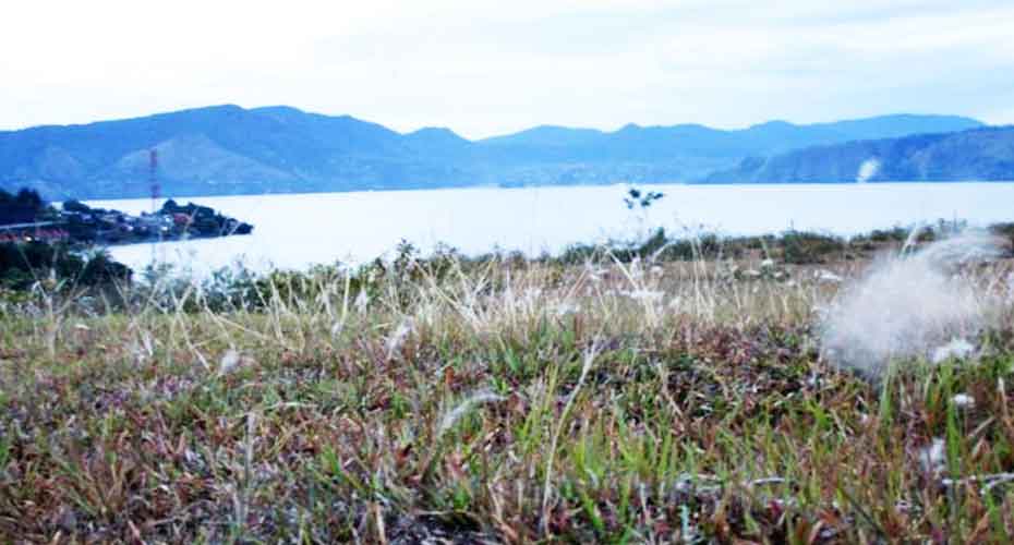 Bukit Beta Pulau Samosir