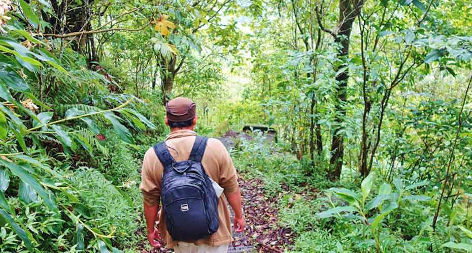 Jungle Trek Taman Simalem Resort