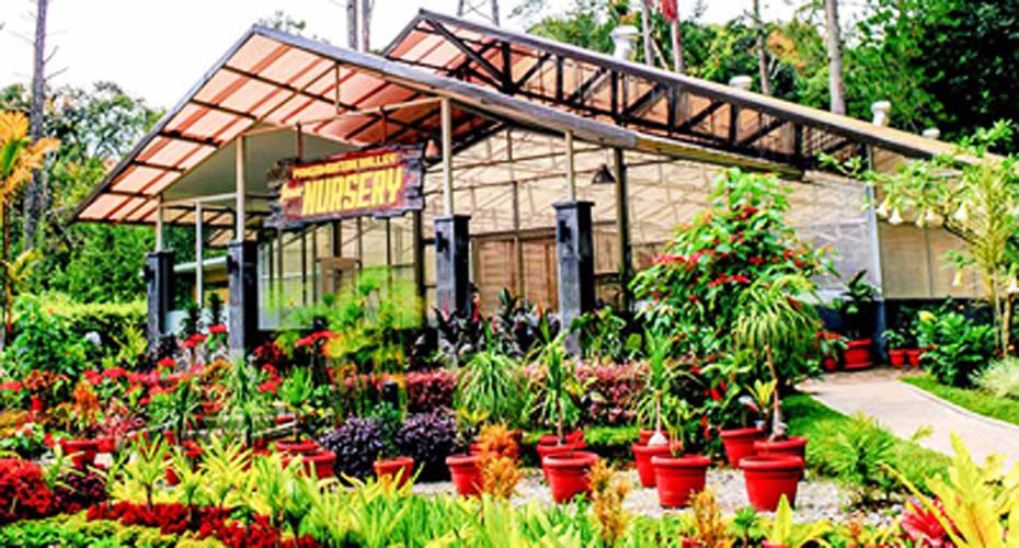 Agrowisata Taman Simalem Resort