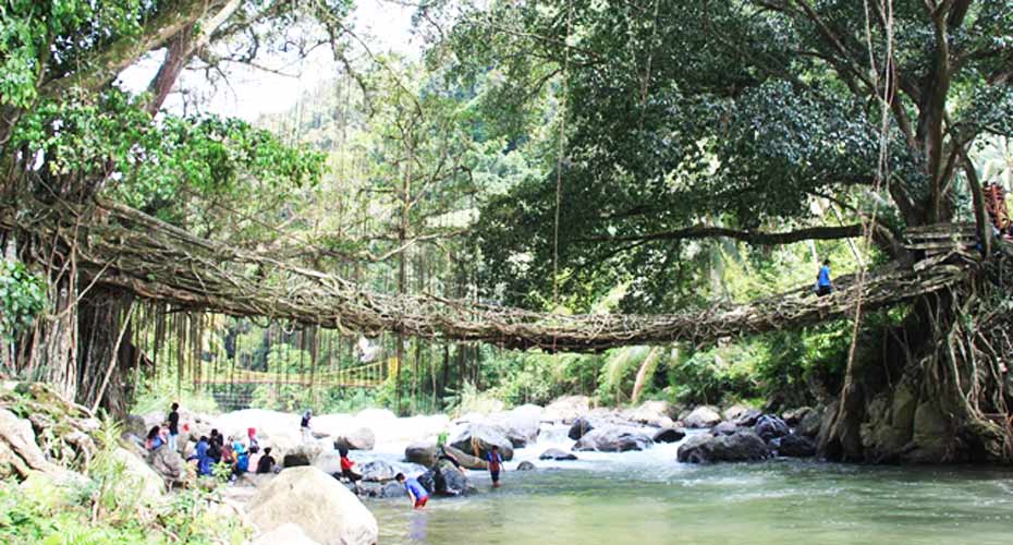 Jembatan Akar Bayang