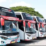 Bus Pariwisata