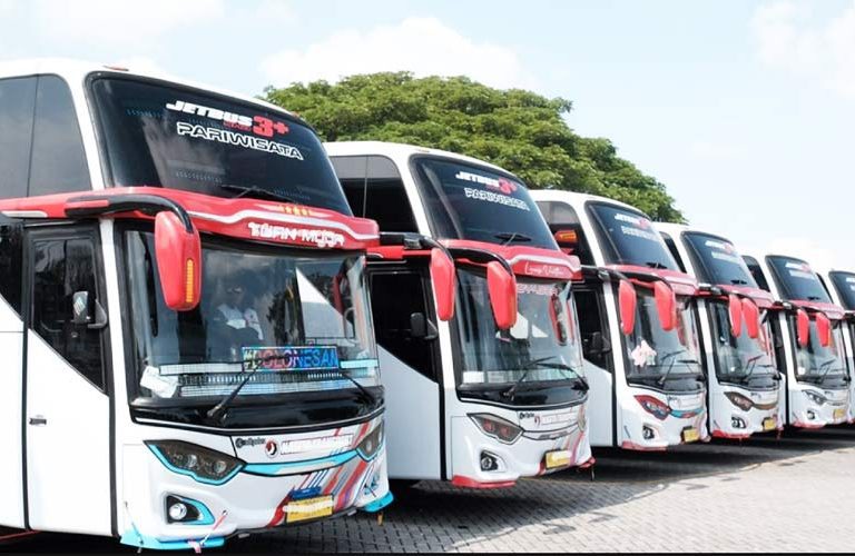 Bus Pariwisata