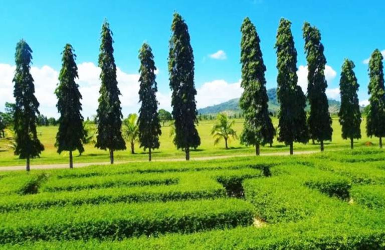 Taman Labirin Simalem Resort