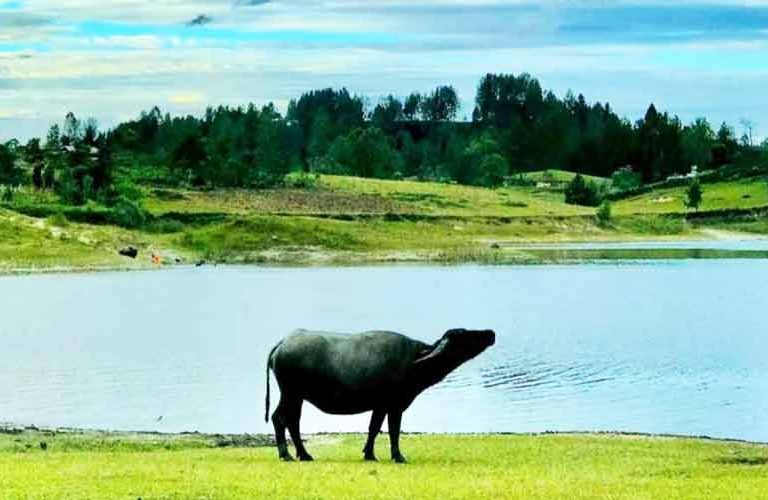 Danau Sidihoni Samosir