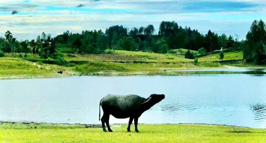 Danau Sidihoni Samosir
